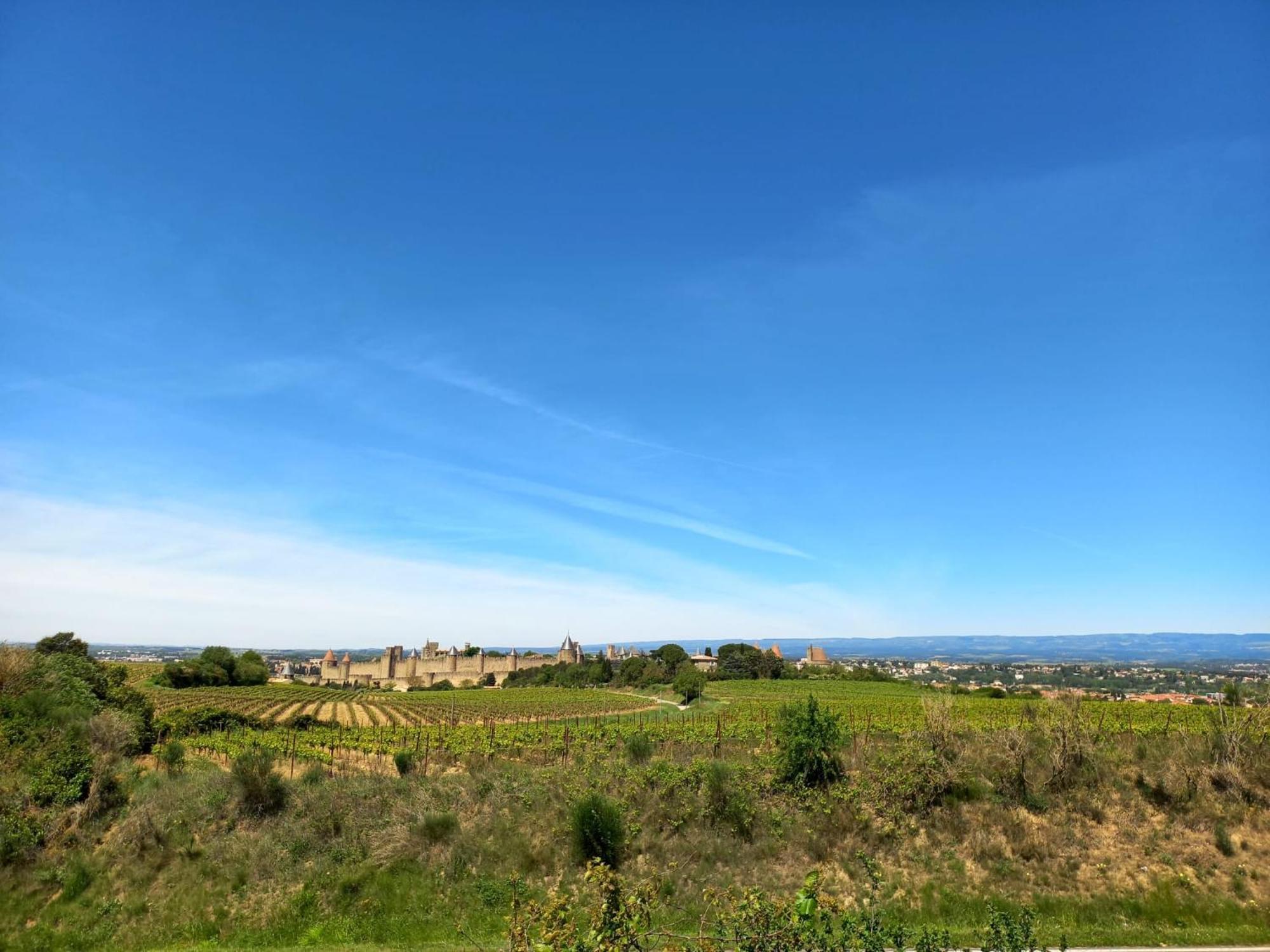 Gite With Private Jacuzzi, Shiatsu & Healthy Food Ladern-sur-Lauquet Εξωτερικό φωτογραφία